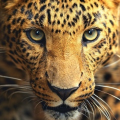 Данил Волк, 26.01.1996, Москва