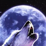 Нуради Абдурашидов, 05.06.1990, Грозный