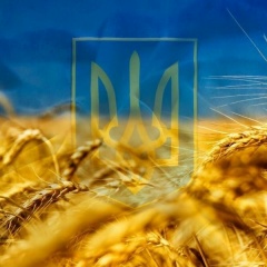 Таня Стасюк, 20.11, Львов