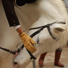 Anelya Isainova, 26.06, Астана