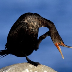 Татьяна Василевская, 31.10.1987, Москва
