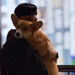 Артем Алексеев, Sharm el-Sheikh