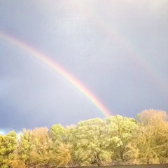 Ирина Титова, 26.03, Чернигов