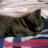 Ксения Скобельцына, 11.10, Пятигорск