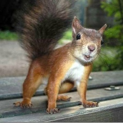 Нина Беленкова, 22.02, Санкт-Петербург