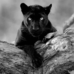 Айболат Бакбергенов, 09.02