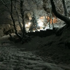 Шамиль Газиев, 25.06.1983, Махачкала