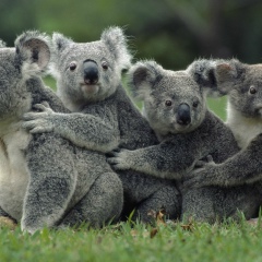 Елена Викторовна, 26.04.1987, Москва