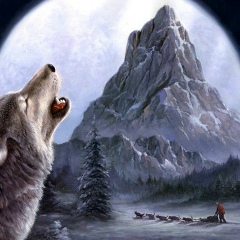 Мухамед Алиев, 15.02, Сургут