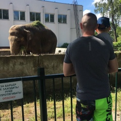 Денис Давыдов, 10.12.1990, Калининград