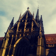 Віталій Шулепа, 29.06, Одесса