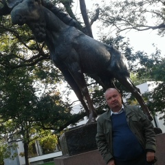 Андрей Трифоев, 08.07, Санкт-Петербург