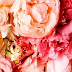 Айгерим Байдрахманова, 29.10.1988, Алматы