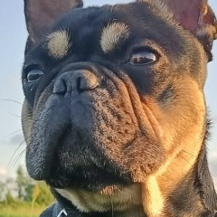 Владимир Печкин, 27.01.1987, Москва