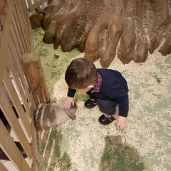 Айнура Ахмекенова, 12.08, Алматы