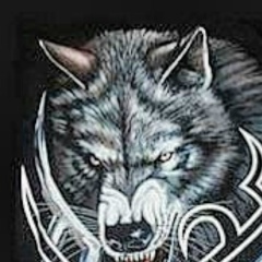 Андрей Спицин, 01.12, Санкт-Петербург