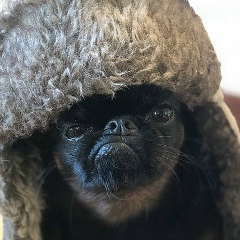 Владислав Поляков, 18.02.1992, Атбасар