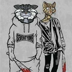 Кот Kotoff, 24.07.1985, Санкт-Петербург