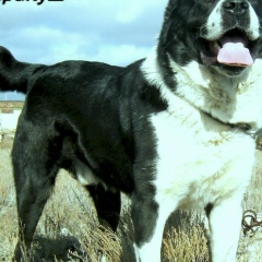 Suinbai Tumyshev, 11.04.1988, Актау