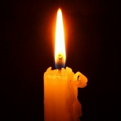 Алина Повереная, 05.11.1992, Киев