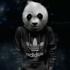 Богдан Лихоманов, 12.04, Днепр (Днепропетровск)