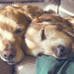 Лилия Рахимова, 16.07.1992, Салават