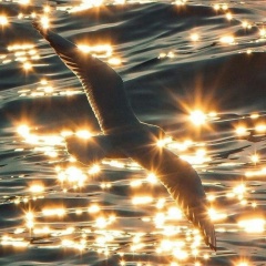 Юлия Воскресенская, 24.10, Санкт-Петербург