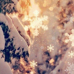 Вера Москалева, 12.09, Одесса