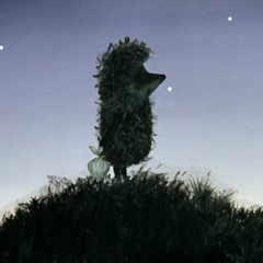 Антон Попов, Вологда