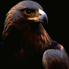 Серёга Рычков, 17.03.2004, Тюмень