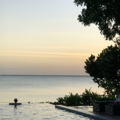 Anna Tarasenko, 16.12, Новосибирск