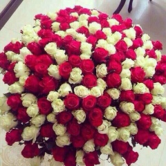 Сауле Оспанова, Тараз