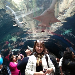 Назифа Мадемарова, 14.02, Алматы