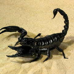 Слава Сословский, 30.10, Нововолынск