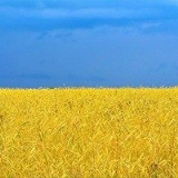 Ольга Ващенко, 05.09.1986, Днепр (Днепропетровск)
