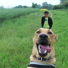 Өмирзақ Тәжибаев