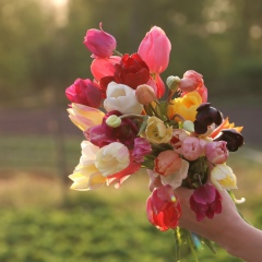 Elena Dergatcheva, 25.12, Hamburg