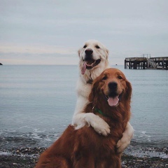 Бекзат Естуреев, 30.01, Шымкент