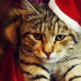 Артур Малевич, 07.01.1997, Донецк