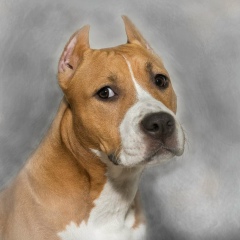 Дарья Репина, 23.07, Москва