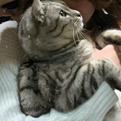 Егор Сосновских, 14.11