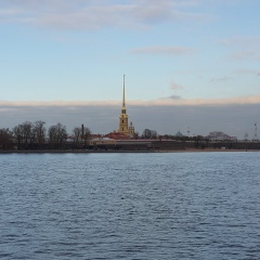 Николай Сухино, Санкт-Петербург