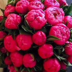 Елена Нуйкина, 25.06, Уральск