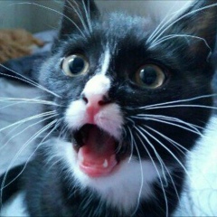 Артём Федулин, 01.01, Санкт-Петербург