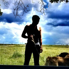 Мади Айткул, Алматы