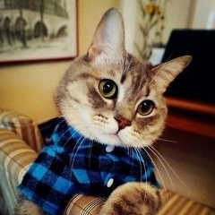 Александр Ивасив, 01.04, Одесса