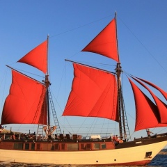 Юрий Сиянский, Санкт-Петербург