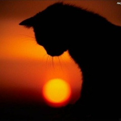 Айнур Хабибуллин, 07.04, Тольятти