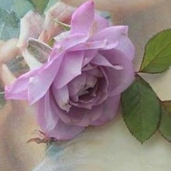 Майя Бондарь, 19.02