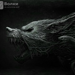 Борис Даниленко, 04.05.1979, Великий Новгород